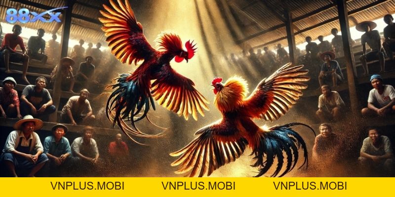 Khám Phá Sảnh Đá Gà 88XX Hấp Dẫn Kịch Tính Cho Người Mới